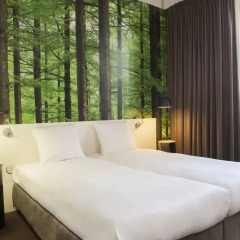 Conscious Hotel Museum Square 3* Стандартный номер с различными типами кроватей