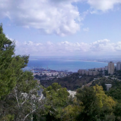 Hotel Marom Haifa 3* Люкс