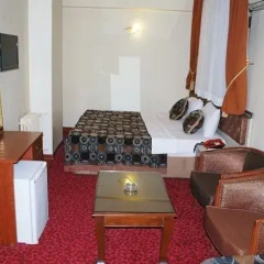 Topkapi Sabena Hotel 3* Стандартный номер с различными типами кроватей фото 10