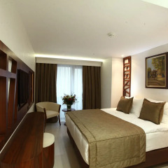 Victory Hotel & Spa Istanbul 4* Стандартный номер