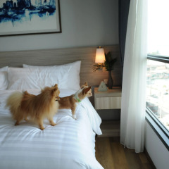 Oakwood Hotel and Residence Sri Racha 5* Студия Делюкс с различными типами кроватей