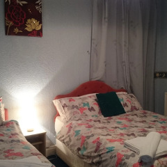 Tulip Hotel 3* Стандартный номер с различными типами кроватей