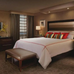 Treasure Island Hotel & Casino 4* Люкс с различными типами кроватей фото 2