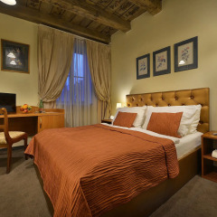 Hotel U Tri Pstrosu 4* Стандартный номер