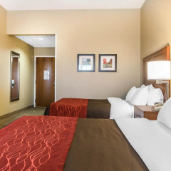 Отель Comfort Inn 2* Стандартный номер с различными типами кроватей