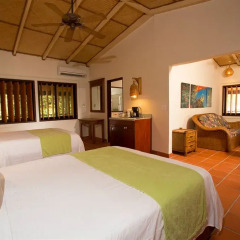 Отель Palm Island Resort All Inclusive 4* Люкс с различными типами кроватей