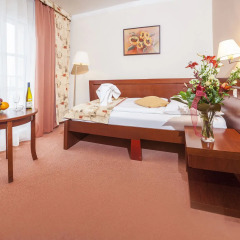 Francis Palace Hotel 4* Стандартный номер
