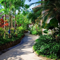 Отель Coconut Village Resort собственный двор
