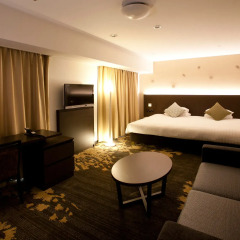 Toyama Excel Hotel Tokyu 3* Стандартный номер фото 16