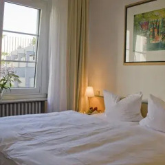 Hotel am Hofgarten 3* Стандартный номер с различными типами кроватей фото 19