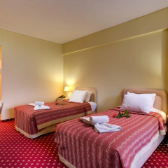 Angelika Pallas Hotel 3* Стандартный номер с 2 отдельными кроватями