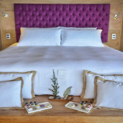 Отель Amantica Lodge 4* Вилла с разными типами кроватей