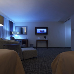 Отель Holiday Inn Trade Center 4* Стандартный номер