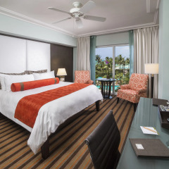 The Palms Hotel & Spa 4* Номер Делюкс с различными типами кроватей