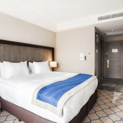 Holiday Inn Kayseri - Duvenonu 4* Стандартный номер с различными типами кроватей фото 2