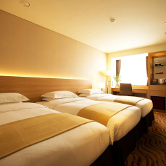 The Summit Hotel Seoul Dongdaemun 3* Стандартный номер с различными типами кроватей