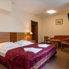 Hotel Boruta 3* Стандартный номер с различными типами кроватей