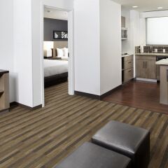 Hyatt House Denver/Lakewood at Belmar in Lakewood, United States of America from 189$, photos, reviews - zenhotels.com guestroom