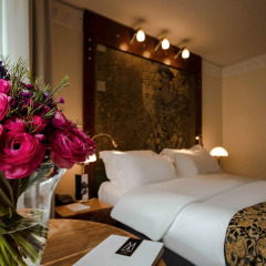 Отель Am Konzerthaus - Mgallery Collection By Sofitel 4* Номер Делюкс