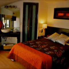 Aztic Hotel & Suites Ejecutivas 3* Стандартный номер с различными типами кроватей