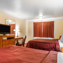 Отель Quality Inn & Suites 3* Стандартный номер