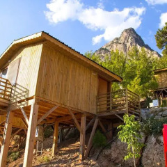 Tree Houses 3* Бунгало с различными типами кроватей фото 7