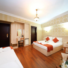 Golden Horn Istanbul Hotel 4* Стандартный номер с различными типами кроватей