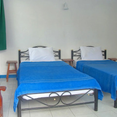 Отель Niku Guesthouse комната для гостей фото 18