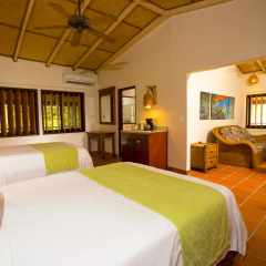 Отель Palm Island Resort All Inclusive 4* Стандартный номер с различными типами кроватей фото 3
