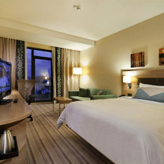 Отель Hilton Garden Inn Istanbul Golden Horn 4* Стандартный номер с различными типами кроватей