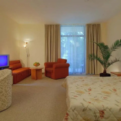 Отель Helios Spa - All Inclusive 4* Стандартный номер с различными типами кроватей