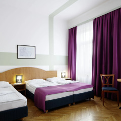 Boutique Hotel Donauwalzer 3* Стандартный номер с разными типами кроватей