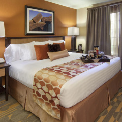 Отель Holiday Inn Club Vacations: Las Vegas at Desert Club Resort США, Лас-Вегас - отзывы, цены и фото номеров - забронировать отель Holiday Inn Club Vacations: Las Vegas at Desert Club Resort онлайн комната для гостей