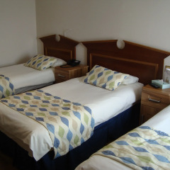 Royal Eagle Hotel 3* Стандартный номер с различными типами кроватей