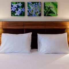 Гостиница Hilton Garden Inn Moscow Новая Рига 4* Стандартный семейный номер с двуспальной кроватью фото 2