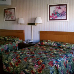 Отель On The Vegas Boulevard Hotel Las Vegas США, Лас-Вегас - отзывы, цены и фото номеров - забронировать отель On The Vegas Boulevard Hotel Las Vegas онлайн удобства в номере