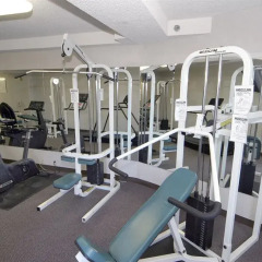 Отель Holiday Inn Washington Georgetown Hotel США, Вашингтон - отзывы, цены и фото номеров - забронировать отель Holiday Inn Washington Georgetown Hotel онлайн фитнесс-зал