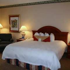 hilton garden inn secaucusmeadowlands secaucus united states of america zenhotels - Hilton Garden Inn Secaucus hilton garden inn secaucusmeadowlands secaucus united states of america zenhotels - Hilton Garden Inn Secaucus