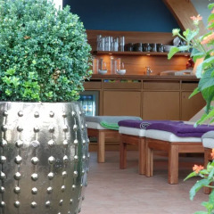 Hotel & Villa Auersperg курортное лечение