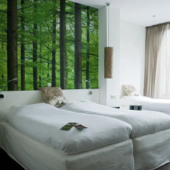 Conscious Hotel Museum Square 3* Стандартный номер с различными типами кроватей фото 3