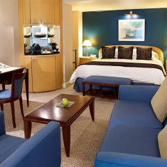 Radisson Blu Hotel, Dubai Deira Creek жилая площадь