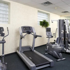 Отель Four Points by Sheraton Toronto Lakeshore Канада, Торонто - отзывы, цены и фото номеров - забронировать отель Four Points by Sheraton Toronto Lakeshore онлайн фитнесс-зал