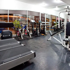 Отель Holiday Inn Puerto Vallarta фитнесс-зал