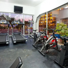 Отель Holiday Inn Puerto Vallarta фитнесс-зал фото 2