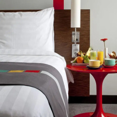 Гостиница Park Inn by Radisson Sheremetyevo Airport Moscow комната для гостей фото 8