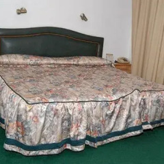 Отель Darotel Иордания, Амман - отзывы, цены и фото номеров - забронировать отель Darotel онлайн комната для гостей фото 2
