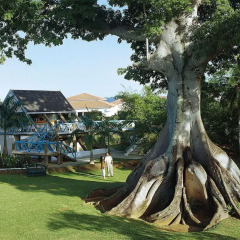 Отель Grand Lido Negril Resort & Spa - All inclusive Adults Only бассейн