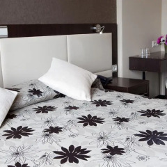 Albert 1'er Hotel Nice, France комната для гостей фото 7