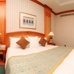 Carlton Palace Hotel комната для гостей фото 9