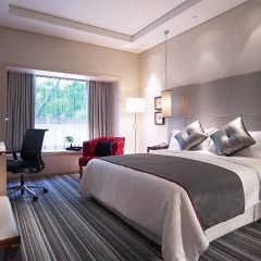 Carlton Hotel Singapore комната для гостей фото 2